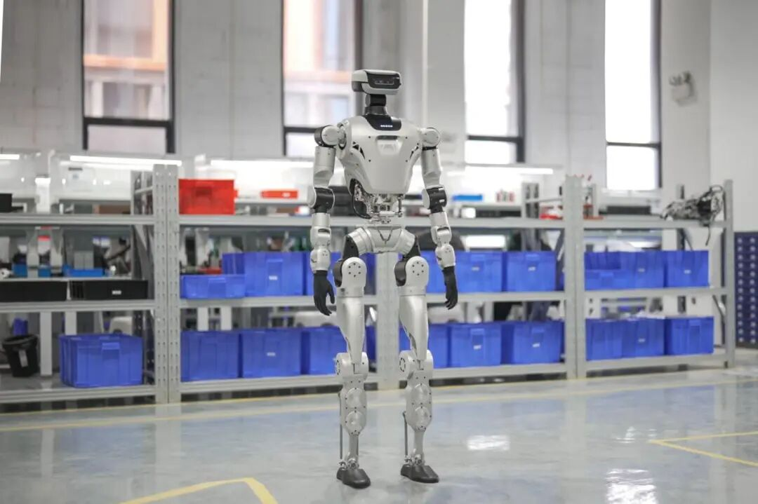 1773974421947 图片1